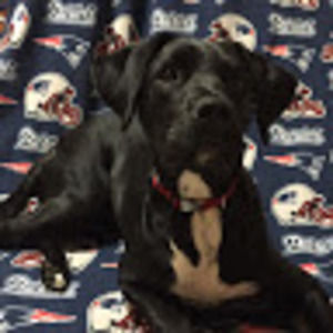 Meet your Posher, Brianna